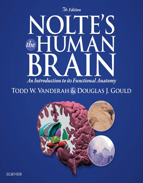 Nolte’s The Human Brain